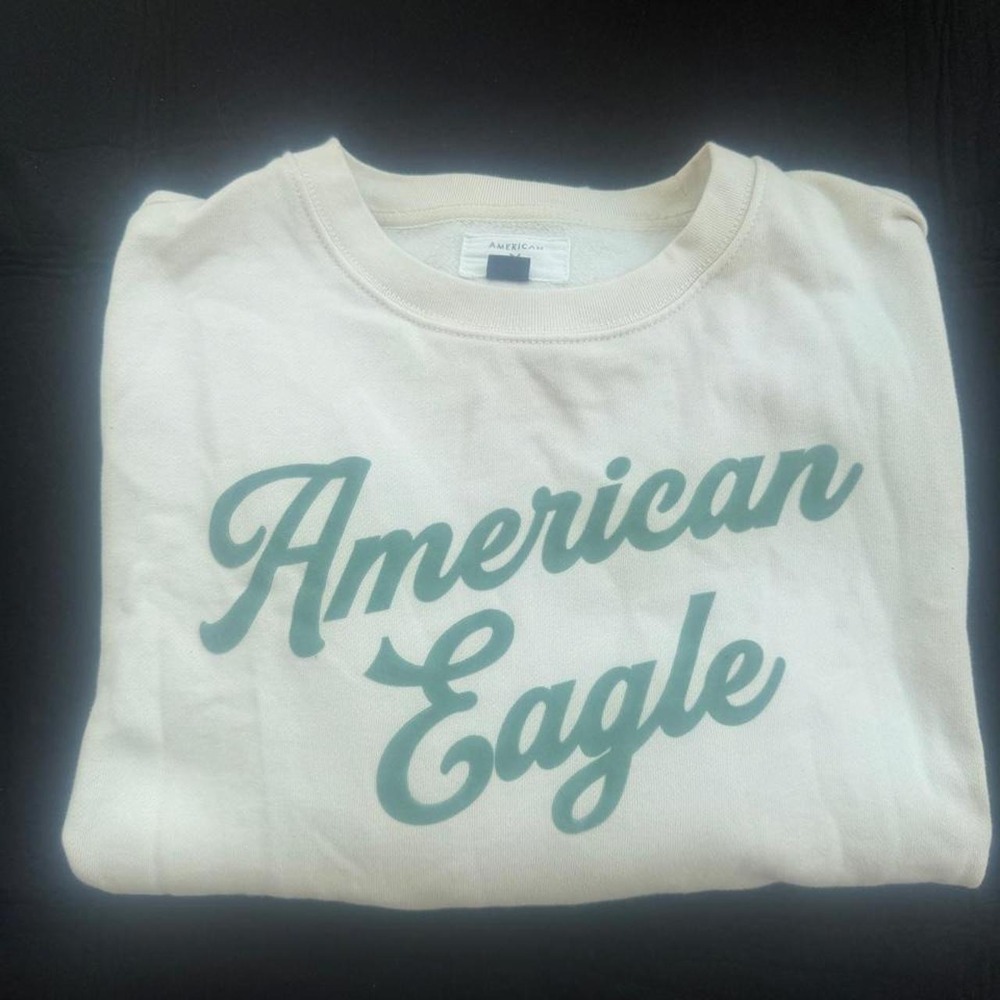 American Eagle Outfitters Sweatshirt
